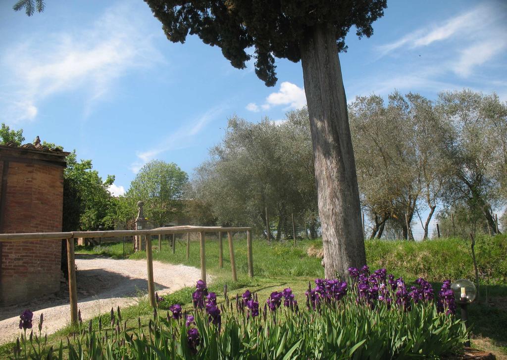 Agriturismo La Torretta Costalpino Exterior foto