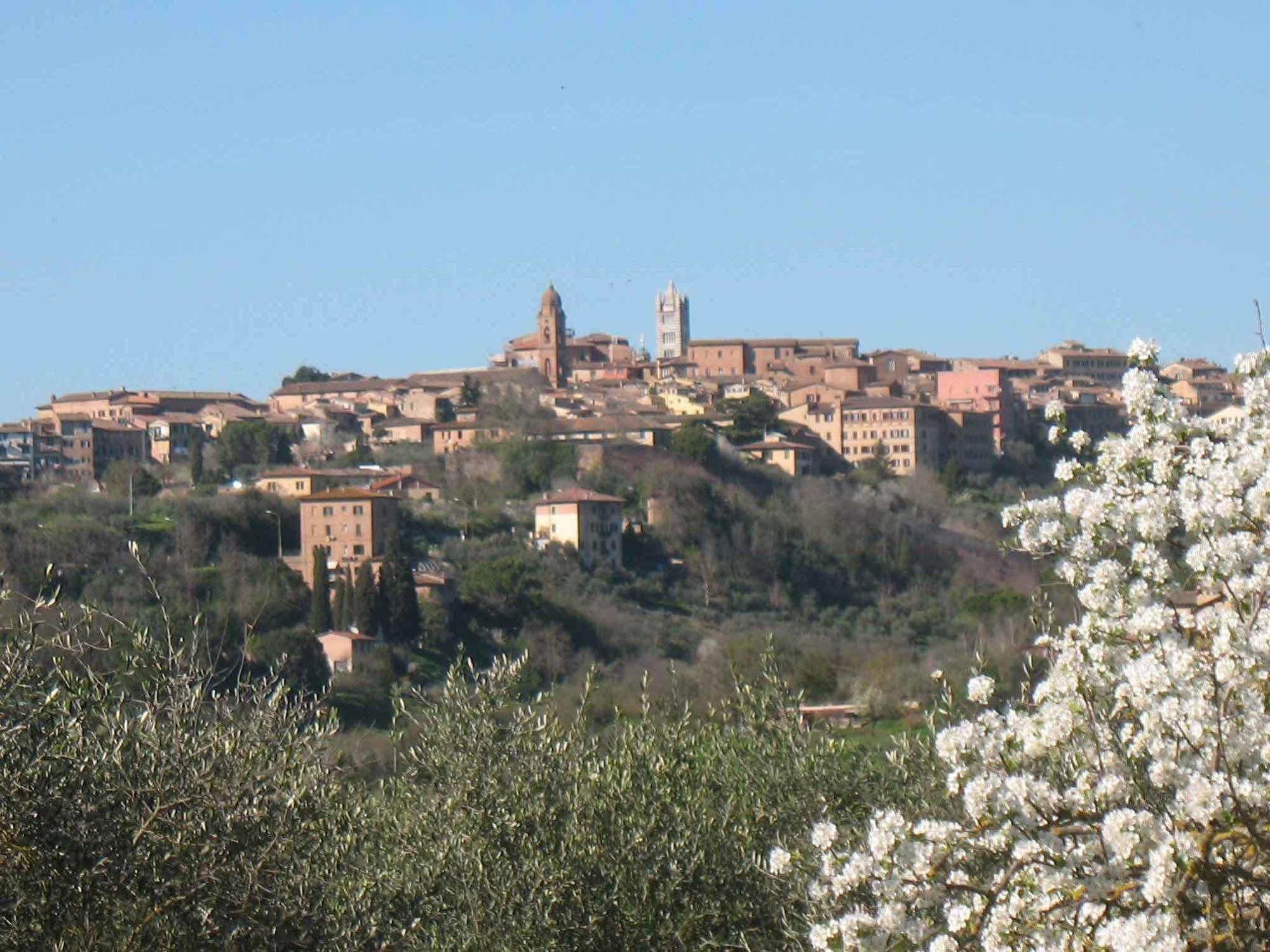 Agriturismo La Torretta Costalpino Exterior foto
